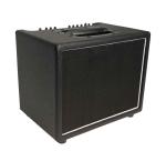 Custom Grand 60watt Acoustic Guitar Combo Amplifier with Effects in Black Color