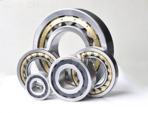 China Double Row Chrome Steel Bearings Open Seals Gearbox Bearing NJ2320 factory