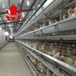 Battery Layer Chicken Cage With Poultry Farming Equipment For Animal Poultry