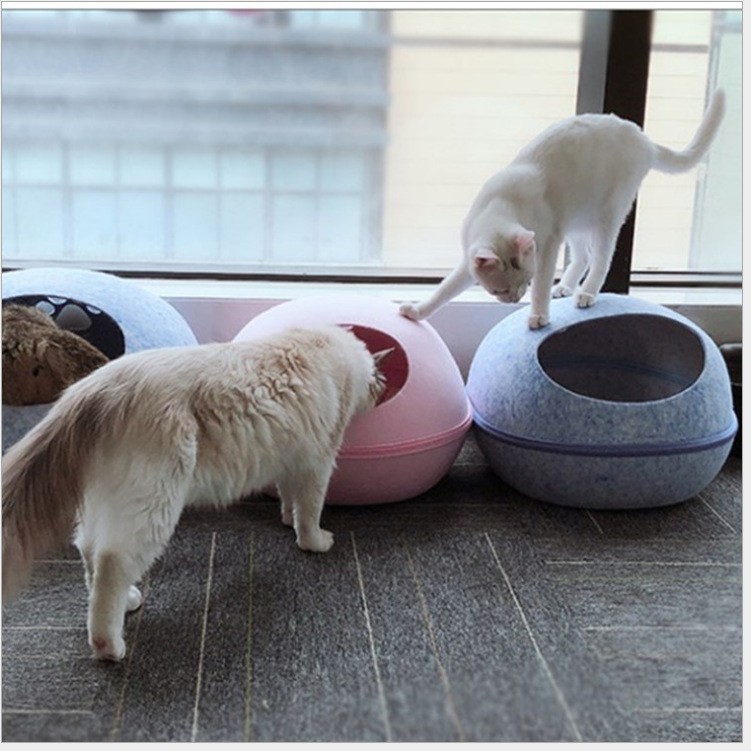 covered cat beds for large cats