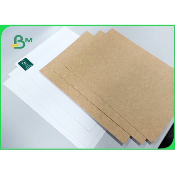 250gsm smooth surface FDA white face top of kraft liner for advertising Design