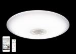 Versatile Warm White Ceiling Lights , Color Temperature Adjustable Smart Ceiling