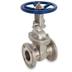China SS304 DN100 PN16 Stainless Steel Gate Valve Powder Coated factory