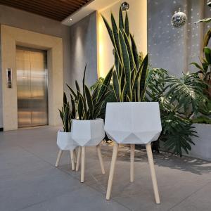 China Easily Cleaned Fiber Clay Planter For Indoor And Outdoor Individuality factory