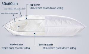 China Double Stitched 50% Down Pillow Down And Feather Pillows 100% Cotton Cover Soft Medium Firm factory