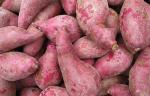 IQF Frozen Steamed Sweet Potato, Fan cut with skin, vatiety of 'shengli 100'