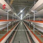 A/H Type Pullet Chicken Cage Baby Chicks Brooding Cage Mia