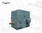 Industrial Squirrel Cage Electric Motor 3000RPM 1250KW 142A IP55 Continuous S1