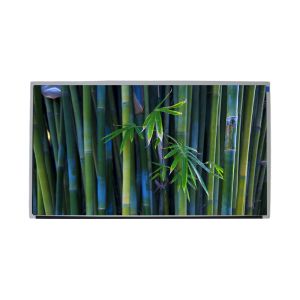 TFT Screen 1000nits High Brightness LCD Display 15.6 Inch With EDP Interface