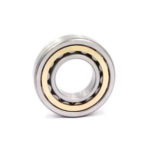 China OEM NJ2306E Cylindrical Roller Bearing 30*72*27mm factory