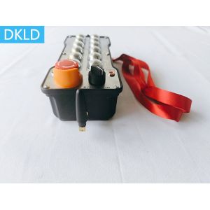 12 Way Single Speed Explosion-Proof Remote Control