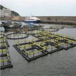 Flexibility Floating Fish Cage Light Weight Abrasion Resistance Smooth Surface