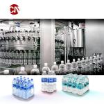 Water Process Line for Drink Water Bottle Filling Machine Customized Water
