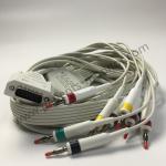 PHiliph Page Writer TC20 Long 10 Lead Patient Cable IEC REF 989803175911