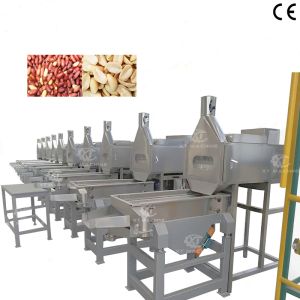 China Full Automatic High Blanching Rate Peanut Slitting Blanching Machine on sale