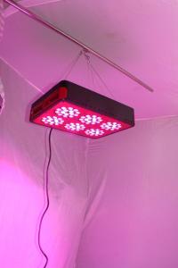 China 2016 cheap apollo grow led plants,apollo6 full spectrum led grow lights,1000w led grow lig factory