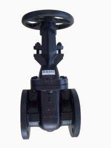 China (ANSI) Cast Iron Gate Valve O&amp;Y flanged ends factory