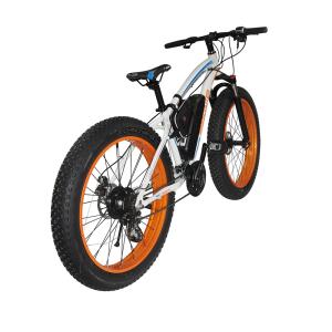 China Fat Tire Snow 2 Wheel Electric Bike 500w Foldable 4-6h Charging Time With CE Certification factory