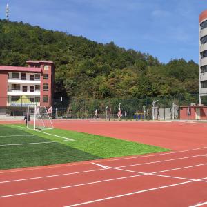 China Integrated Structure Sandwich System Running Track UV Resistance Runway Track factory