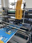 Roll Film Sanitary Napkin Bronzing Machine HDPE LDPE