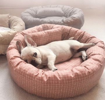 kitty cat bed
