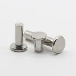 Stainless Steel Flat Truss Head Solid Rivets Thin Head Solid Rivets Flat Head