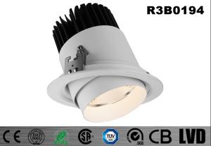 China Round Adjustable 30W 2700-3000K Dia170*H149MM 30Deg Tiltable White Aluminum SHRAPCOB LED Interior IP20 Spot Down Lights factory