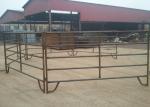 Corrosion Resistant Livestock Cattle , Cattle Corral Panels Easily Assembled