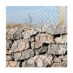 80x100mm Aperture PVC Coated Gabion Box Wire Fencing for TT/Western Union