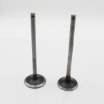 65.04101-0041 65.04101-0042 Diesel Engine Valve D1146 Intake Exhaust Valve For