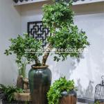 Green Money Plant Artificial Fortune Tree Water Jar Home Decoration ISO