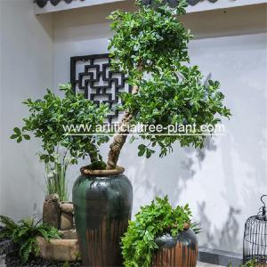 China Green Money Plant Artificial Fortune Tree Water Jar Home Decoration ISO factory