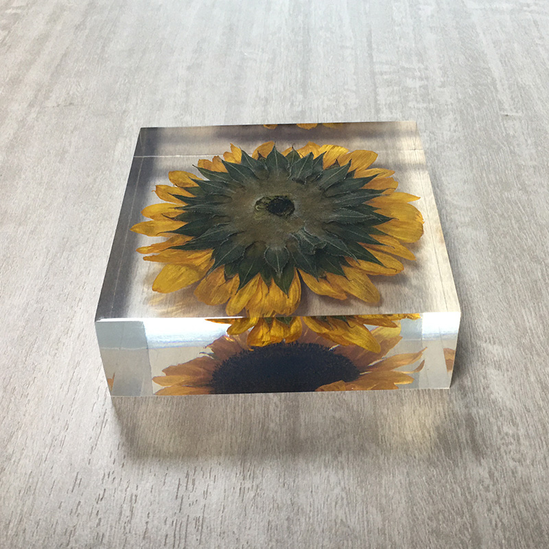 cubic Acrylic resin paper weight with custom embedding inside