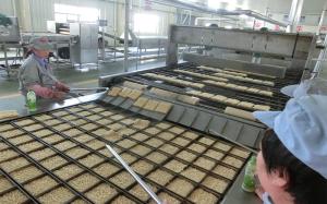 China Instant Noodles Production Line|Automatic Instant Noodle Making Machine factory