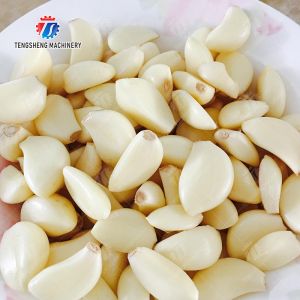 Garlic splitting machine minced garlic processing production Line