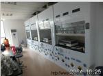 Customized Biology Fume Hood For Oversea Importers and Sellers