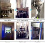 Powder Pills Encapsulated Capsule Filling Equipment Fully Automatic