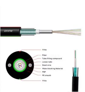 China Outdoor Aerial Armored Fiber Optic Cable with G652D GYXTW 2-12 Core factory