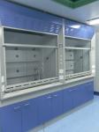 Durable Lab Fume Cupboard Anti Moisture , Walk In Fume Hood Alkali Resistance
