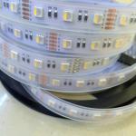 12V 24V 10/12MM PCB 19.2W 4in1 RGBW RGBWW 5050 Led Strip Light 60leds/M LED