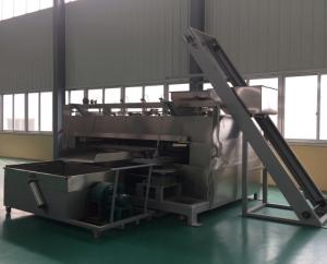 China Flavored Coated Peanut Roaster Machine Swing Style Automated Operation factory