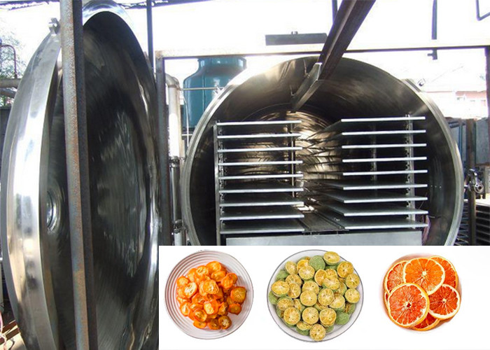 100kg/Batch Freeze Machine Food Industrial Vacuum
