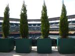 Rectangular Modern Fiberglass Planters Customized 30-Day Crafted Timeless