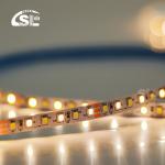 2835 CCT LED Strip 120leds Dual White Color Temperature Adjustable for Your