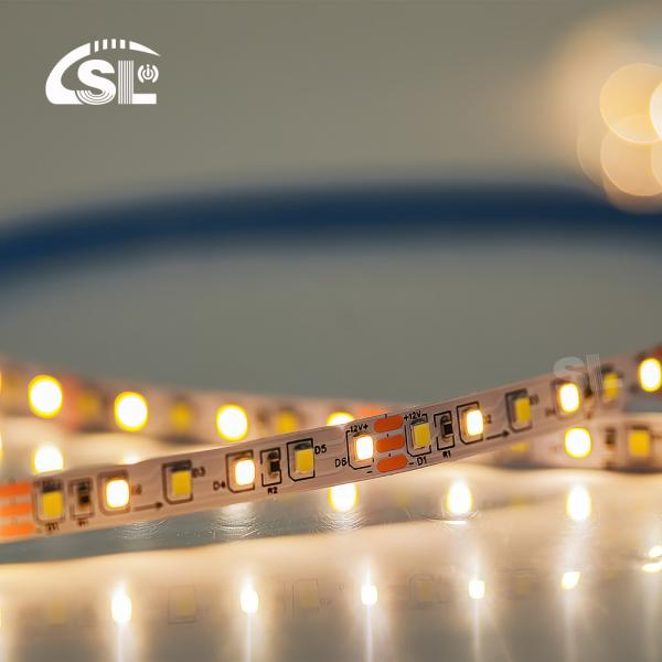 Flexible Dual Color Die-Cutting Board SMD2835 Led Strip Light 3000K-6500K Warm