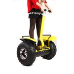 Electric Scooter Segway People Mover For Adult 125Kg Max. Load Lead Acid Battery
