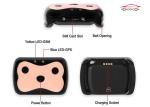Sim Card Pet Gps Tracker , GPS Tracking Collar Low Battery Alarm With Software