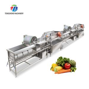 China 7kw Double Vortex Vegetable And Fruit Cleaning Machine factory