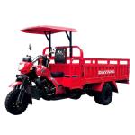 Petrol Three Wheel Tuk Tuk Carrier Motorcycles Cargo Tricycle Displacement 250cc