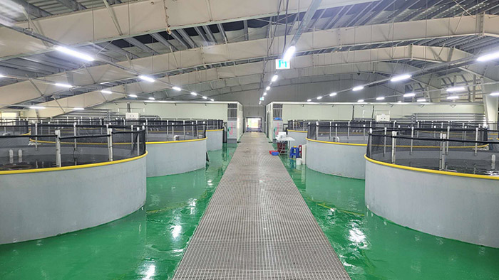Aquaculture  water quality monitoring